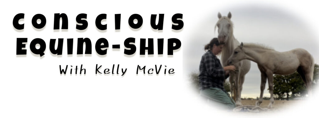 conscious-equine-ship image